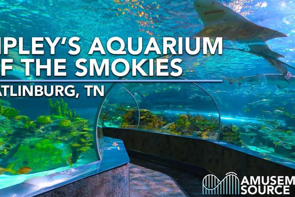 Secluded Mtn View New! 10 Mins To Gatlinburg Or Park Βίλα Εξωτερικό φωτογραφία