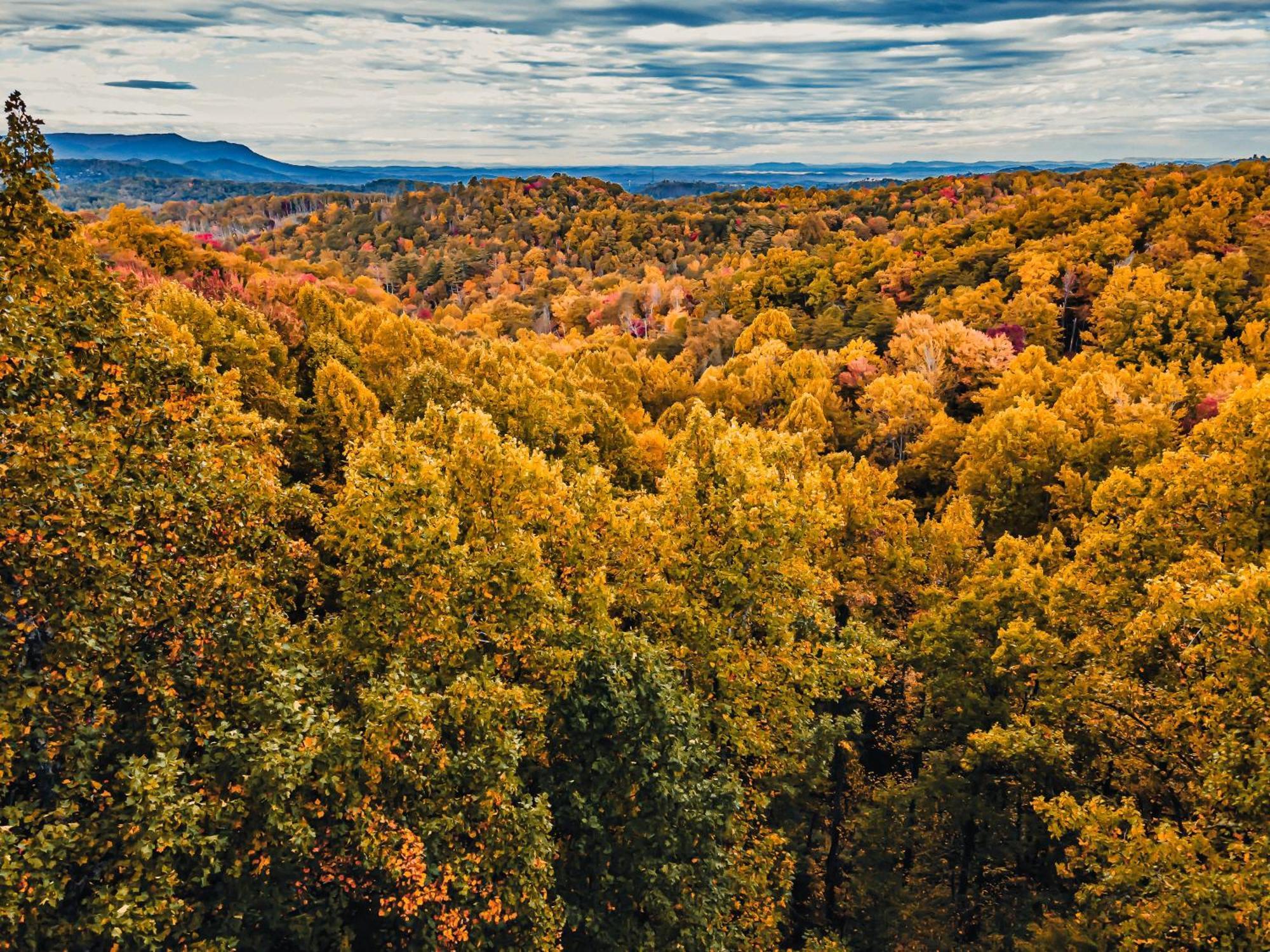Secluded Mtn View New! 10 Mins To Gatlinburg Or Park Βίλα Εξωτερικό φωτογραφία